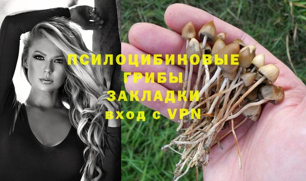 ГАЛЛЮЦИНОГЕННЫЕ ГРИБЫ Абаза