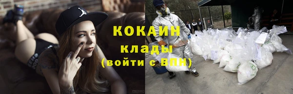 ГАЛЛЮЦИНОГЕННЫЕ ГРИБЫ Абаза