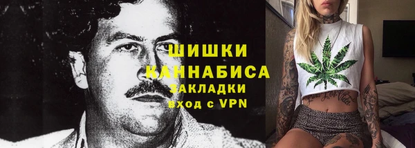 ГАЛЛЮЦИНОГЕННЫЕ ГРИБЫ Абаза