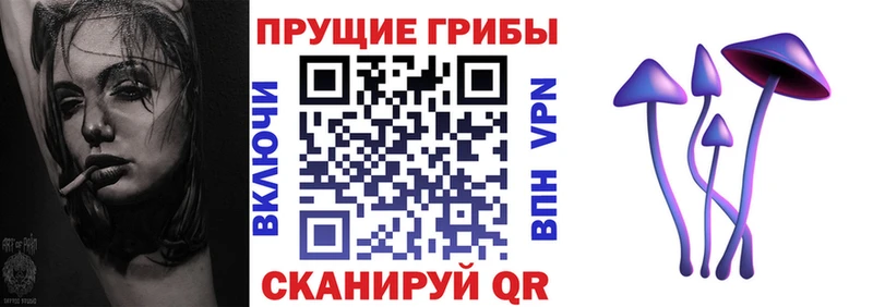 Галлюциногенные грибы Psilocybe  дарк нет Telegram  Черноголовка 