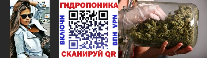 Конопля конопля  MEGA   Черноголовка 